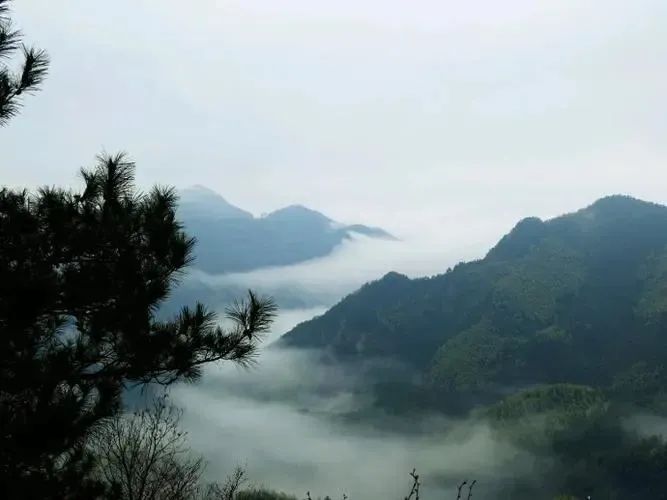 湖北888集团绿色能源有限公司