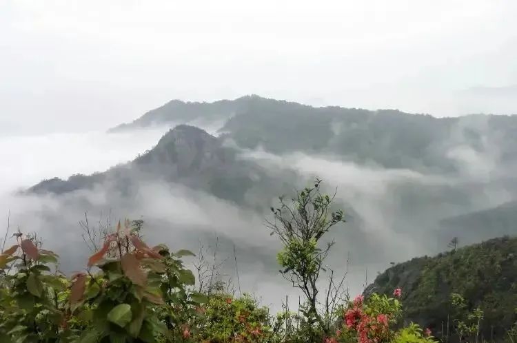 湖北888集团绿色能源有限公司